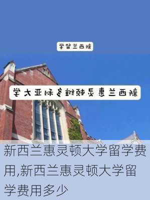 新西兰惠灵顿大学留学费用,新西兰惠灵顿大学留学费用多少