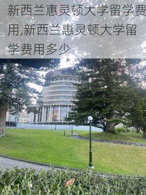 新西兰惠灵顿大学留学费用,新西兰惠灵顿大学留学费用多少