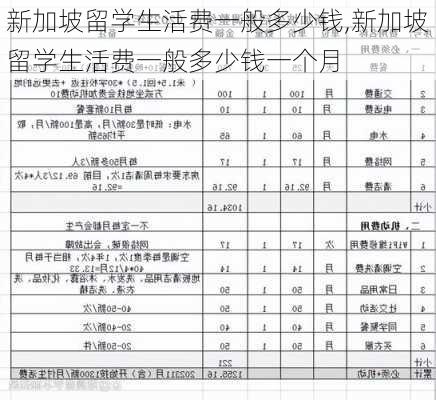 新加坡留学生活费一般多少钱,新加坡留学生活费一般多少钱一个月