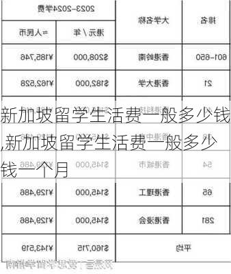 新加坡留学生活费一般多少钱,新加坡留学生活费一般多少钱一个月