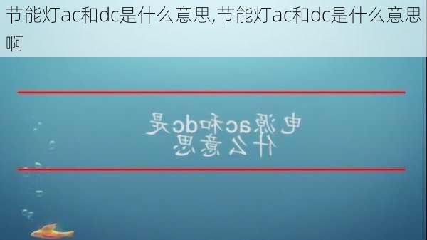 节能灯ac和dc是什么意思,节能灯ac和dc是什么意思啊