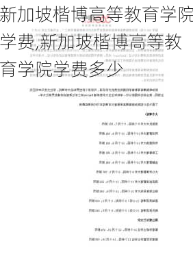 新加坡楷博高等教育学院学费,新加坡楷博高等教育学院学费多少