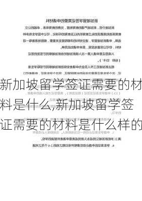 新加坡留学签证需要的材料是什么,新加坡留学签证需要的材料是什么样的