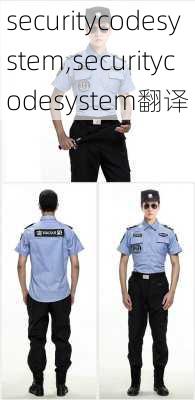 securitycodesystem,securitycodesystem翻译