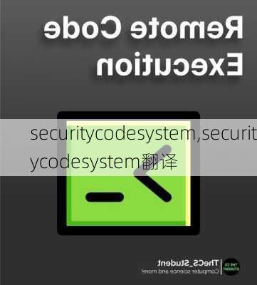 securitycodesystem,securitycodesystem翻译