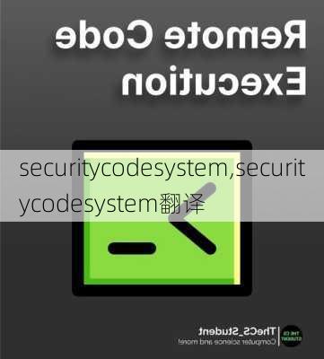 securitycodesystem,securitycodesystem翻译