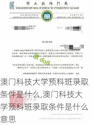 澳门科技大学预科班录取条件是什么,澳门科技大学预科班录取条件是什么意思