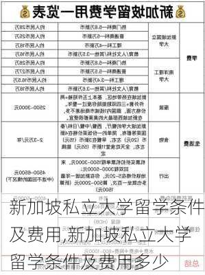 新加坡私立大学留学条件及费用,新加坡私立大学留学条件及费用多少