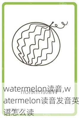 watermelon读音,watermelon读音发音英语怎么读