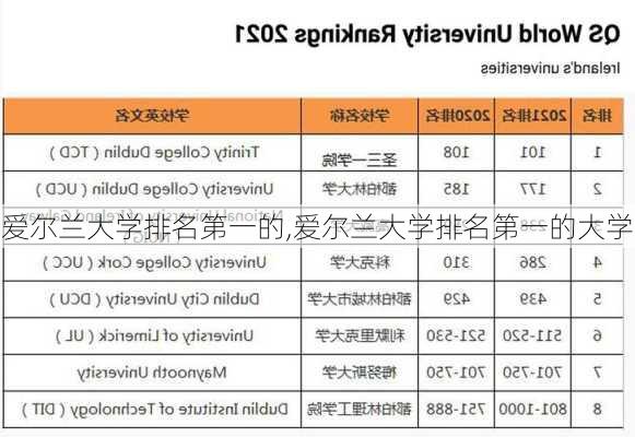 爱尔兰大学排名第一的,爱尔兰大学排名第一的大学