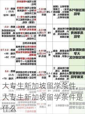 大专生新加坡留学条件,大专生新加坡留学条件是什么