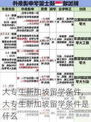 大专生新加坡留学条件,大专生新加坡留学条件是什么