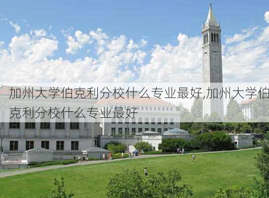 加州大学伯克利分校什么专业最好,加州大学伯克利分校什么专业最好