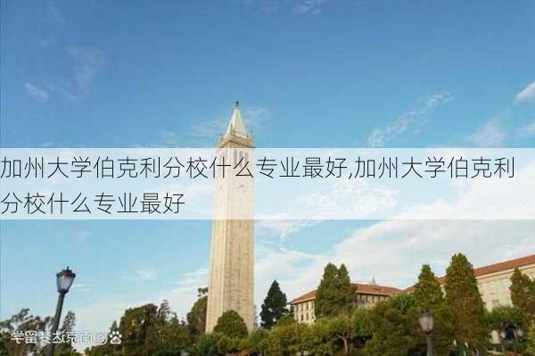 加州大学伯克利分校什么专业最好,加州大学伯克利分校什么专业最好