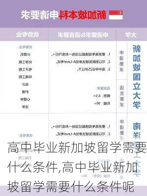 高中毕业新加坡留学需要什么条件,高中毕业新加坡留学需要什么条件呢