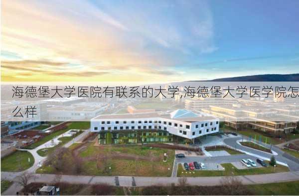 海德堡大学医院有联系的大学,海德堡大学医学院怎么样