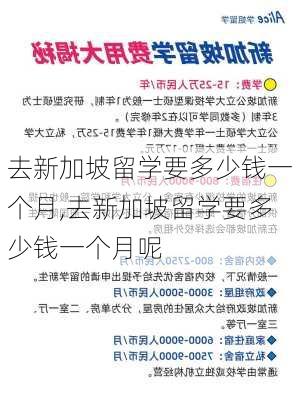 去新加坡留学要多少钱一个月,去新加坡留学要多少钱一个月呢