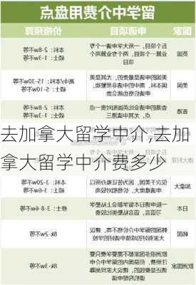 去加拿大留学中介,去加拿大留学中介费多少