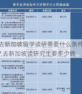 去新加坡留学读研需要什么条件?,去新加坡读研究生要多少钱