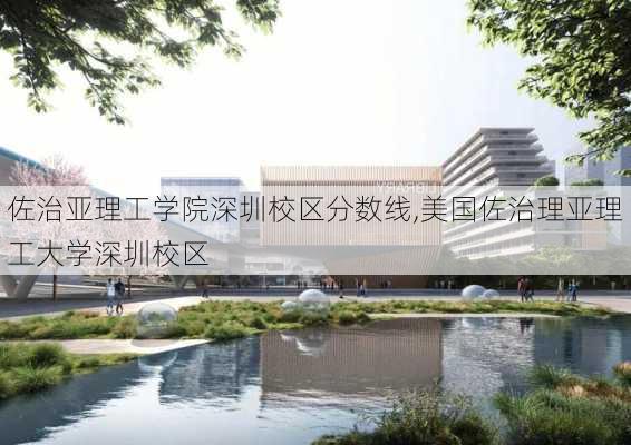 佐治亚理工学院深圳校区分数线,美国佐治理亚理工大学深圳校区