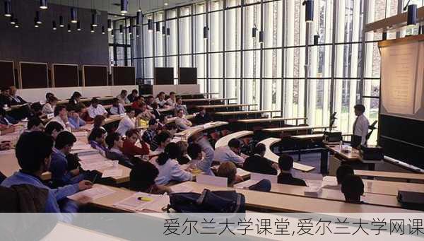 爱尔兰大学课堂,爱尔兰大学网课