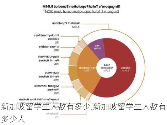 新加坡留学生人数有多少,新加坡留学生人数有多少人