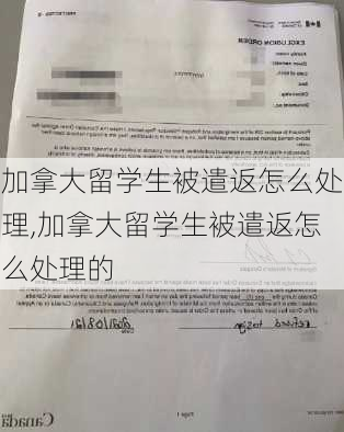 加拿大留学生被遣返怎么处理,加拿大留学生被遣返怎么处理的