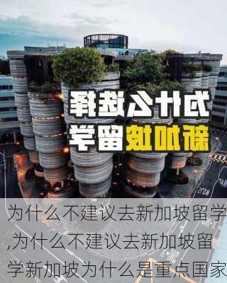 为什么不建议去新加坡留学,为什么不建议去新加坡留学新加坡为什么是重点国家