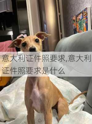 意大利证件照要求,意大利证件照要求是什么