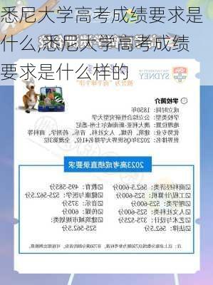 悉尼大学高考成绩要求是什么,悉尼大学高考成绩要求是什么样的