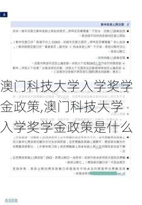 澳门科技大学入学奖学金政策,澳门科技大学入学奖学金政策是什么