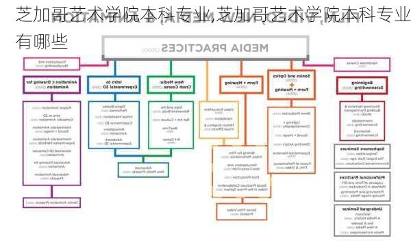 芝加哥艺术学院本科专业,芝加哥艺术学院本科专业有哪些