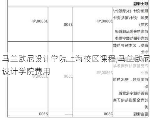 马兰欧尼设计学院上海校区课程,马兰欧尼设计学院费用