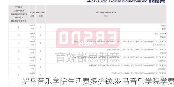 罗马音乐学院生活费多少钱,罗马音乐学院学费