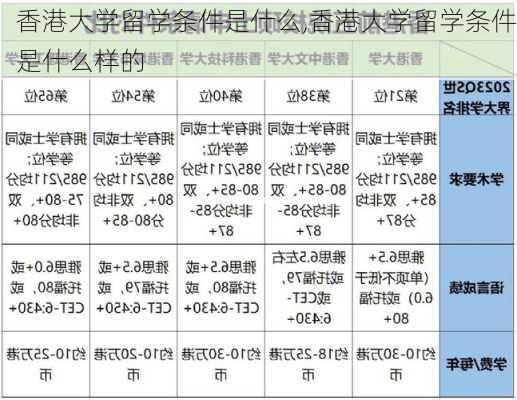 香港大学留学条件是什么,香港大学留学条件是什么样的