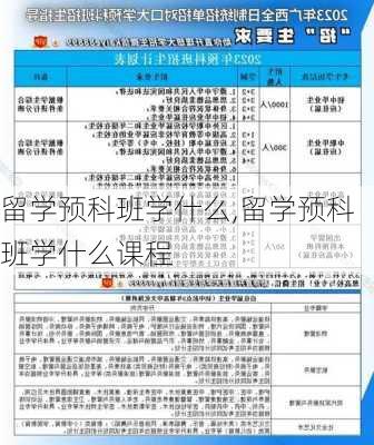 留学预科班学什么,留学预科班学什么课程