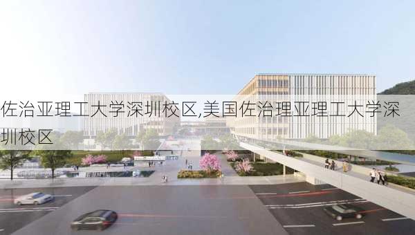 佐治亚理工大学深圳校区,美国佐治理亚理工大学深圳校区