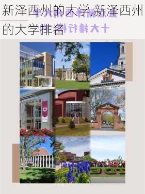 新泽西州的大学,新泽西州的大学排名