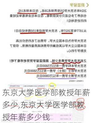 东京大学医学部教授年薪多少,东京大学医学部教授年薪多少钱