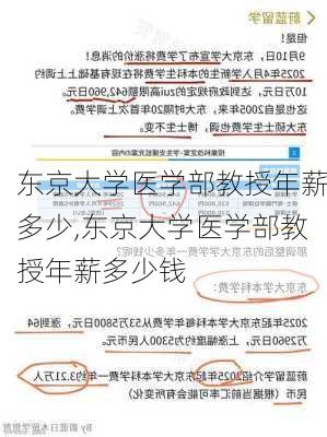 东京大学医学部教授年薪多少,东京大学医学部教授年薪多少钱