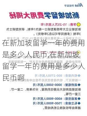 在新加坡留学一年的费用是多少人民币,在新加坡留学一年的费用是多少人民币啊