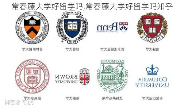 常春藤大学好留学吗,常春藤大学好留学吗知乎