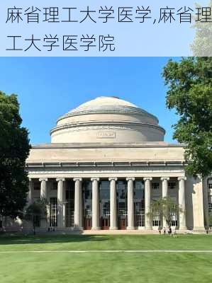 麻省理工大学医学,麻省理工大学医学院