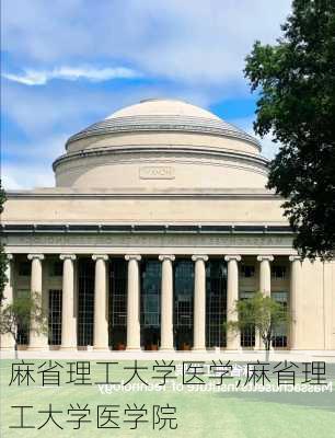 麻省理工大学医学,麻省理工大学医学院