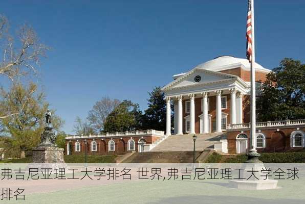 弗吉尼亚理工大学排名 世界,弗吉尼亚理工大学全球排名