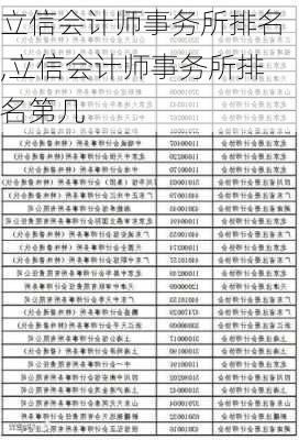 立信会计师事务所排名,立信会计师事务所排名第几