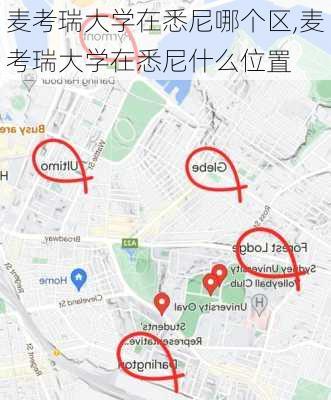 麦考瑞大学在悉尼哪个区,麦考瑞大学在悉尼什么位置