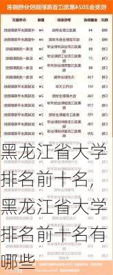 黑龙江省大学排名前十名,黑龙江省大学排名前十名有哪些