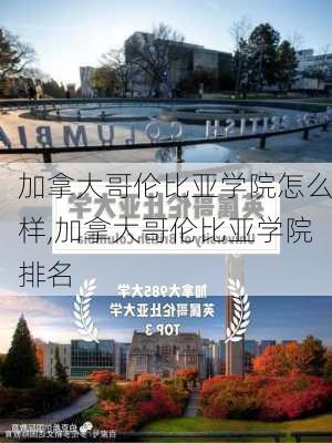 加拿大哥伦比亚学院怎么样,加拿大哥伦比亚学院排名