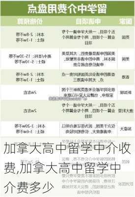 加拿大高中留学中介收费,加拿大高中留学中介费多少